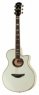 Yamaha APX1000 PW Yamaha APX1000 PW