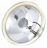 GE Lighting PAR36 30 Watts 12,8V 4405