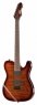 Телекастер ESP LTD TE-401FM DBSB ESP LTD TE-401FM DBSB