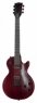 Gibson Les Paul Voodoo 2016 LTD Gibson Les Paul Voodoo 2016 LTD