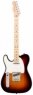 Fender AM Pro Tele LH MN 3TS Fender AM Pro Tele LH MN 3TS