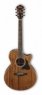 Гитары иных форм Ibanez AE245-NT Ibanez AE245-NT
