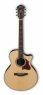 Гитара иной формы Ibanez AE500-NT Ibanez AE500-NT
