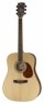 Cort Earth 100 NS Cort Earth 100 NS
