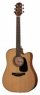 Дредноут Takamine GD10CE-NS Takamine GD10CE-NS