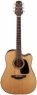 Takamine GD15CE-NA