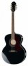 Epiphone EJ-200 Artist Limited Ed. TB Epiphone EJ-200 Artist Limited Ed. TB
