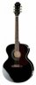 Epiphone EJ-200 Artist Limited Ed. EB Epiphone EJ-200 Artist Limited Ed. EB