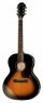 Epiphone EL-00 Pro Epiphone EL-00 Pro