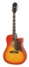 Epiphone Hummingbird Performer Pro FCB