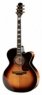 Takamine EF250TK Toby Keith