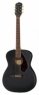 Fender Tim Armstrong Deluxe Black FSR