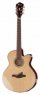 Ibanez AELFF10-NT Multiscale Ibanez AELFF10-NT Multiscale