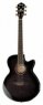 Ibanez AEG24II-TGB Ibanez AEG24II-TGB