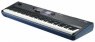 Компактные цифровые пианино KURZWEIL SP6 KURZWEIL SP6
