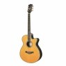Фолк Caraya SP50-C Caraya SP50-C