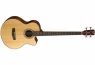 Cort SJB5F-NS Acoustic Bass Series