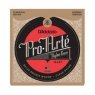 D'Addario EJ47 PRO ARTE