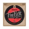 Струны для классических гитар D'Addario EJ45-3D Pro-Arte D'Addario EJ45-3D Pro-Arte