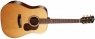 Cort GOLD-D6-NAT Gold Cort GOLD-D6-NAT Gold