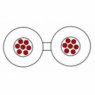 Draka DR speaker 2x1,5 flat Draka DR speaker 2x1,5 flat