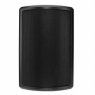 Подвесная настенная акустика Tannoy AMS 5ICT Tannoy AMS 5ICT