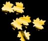 GLOBAL EFFECTS Кленовые листья золото