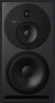 Активный студийный монитор Dynaudio Core 59 Dynaudio Core 59