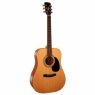 Дредноуты Parkwood W81-OP Parkwood W81-OP