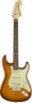 Fender AM Performer Strat Rosewood Fingerboard Honey Burst