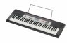Цифровой синтезатор Casio CTK-1500 Casio CTK-1500