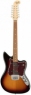 Fender Electric XII PF 3TSB