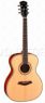 Дредноуты Parkwood P620 Parkwood P620