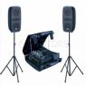 Комплект акустических систем Soundking ZH25-D-1 Soundking ZH25-D-1