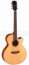 Электроакустика Parkwood S27-GT Parkwood S27-GT