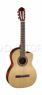 Электроакустика Parkwood PC110 Parkwood PC110