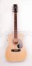 Электроакустика Parkwood W81-12E-OP Parkwood W81-12E-OP