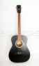 Гитары иных форм Parkwood PF51-BKS Parkwood PF51-BKS