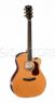 Электроакустика Cort Gold-A8-NAT Cort Gold-A8-NAT