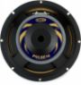 Celestion PULSE10