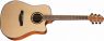 Электроакустика Crafter HD-250CE Crafter HD-250CE
