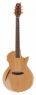 Электроакустика ESP LTD TL-6 NAT ESP LTD TL-6 NAT