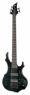 ESP LTD F-1005 STBLK