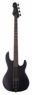 ESP LTD AP-4 Black Metal