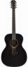 Гитары иных форм Flight HPLD-500 Ebony Flight HPLD-500 Ebony
