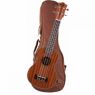 Укулеле тенор Prodipe JMFBT3 Prodipe JMFBT3