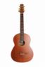 Электроакустика NewTone N17GASDBCE NewTone N17GASDBCE